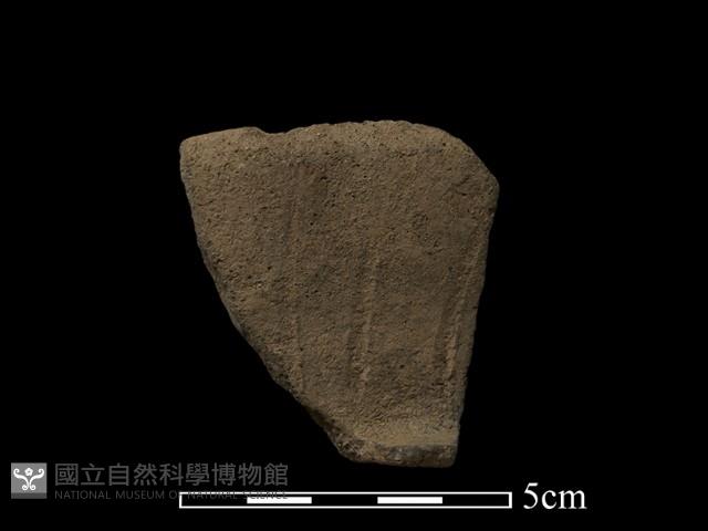 陶片藏品圖，第1張