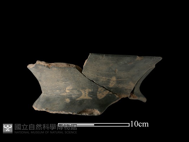 陶罐藏品圖，第1張