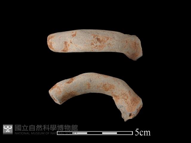 陶蓋鈕藏品圖，第1張