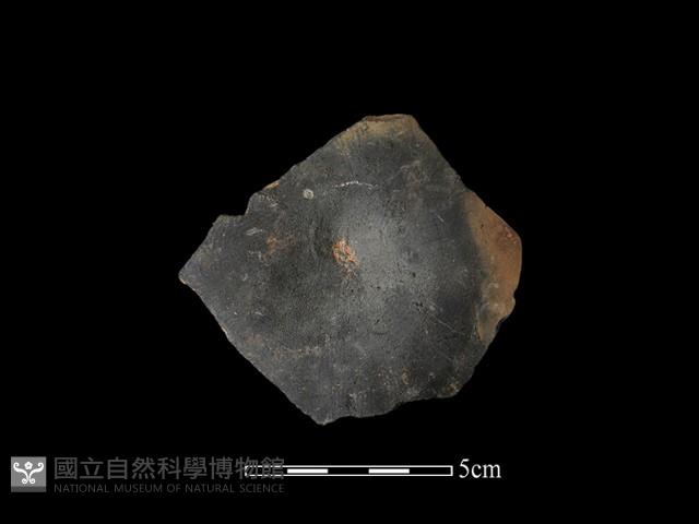 陶片藏品圖，第1張