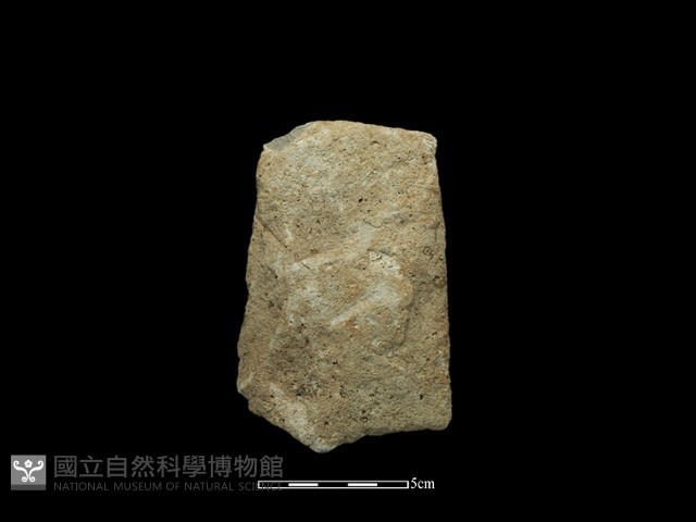 斧鋤形器藏品圖，第1張