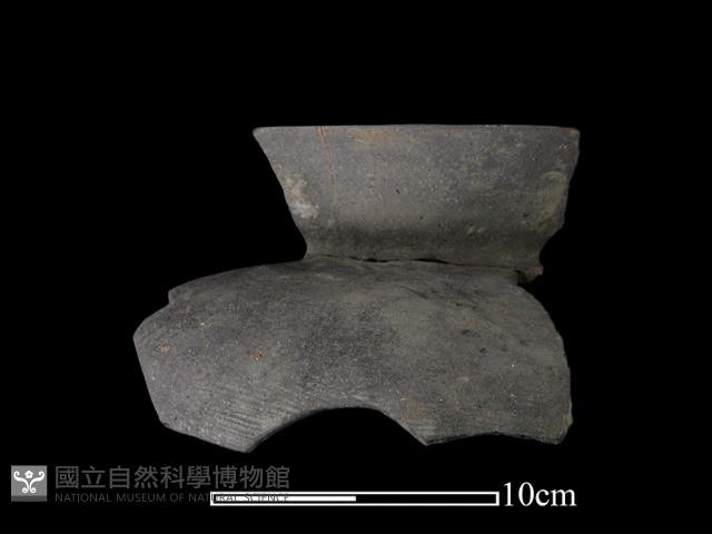 Accession Number:NSK-2012-189 Collection Image, Figure 2, Total 2 Figures