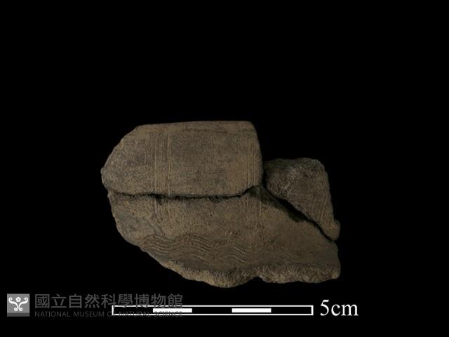 陶片藏品圖，第1張