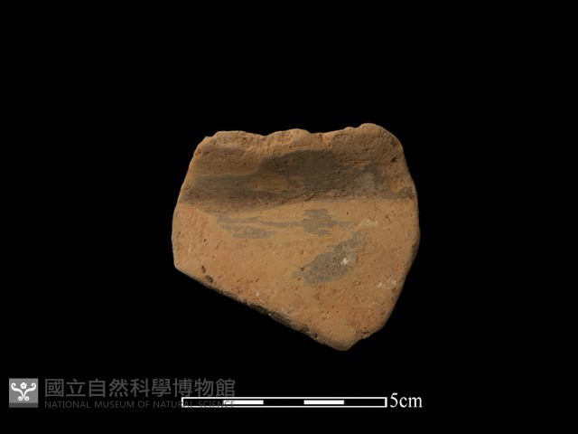 陶罐藏品圖，第1張