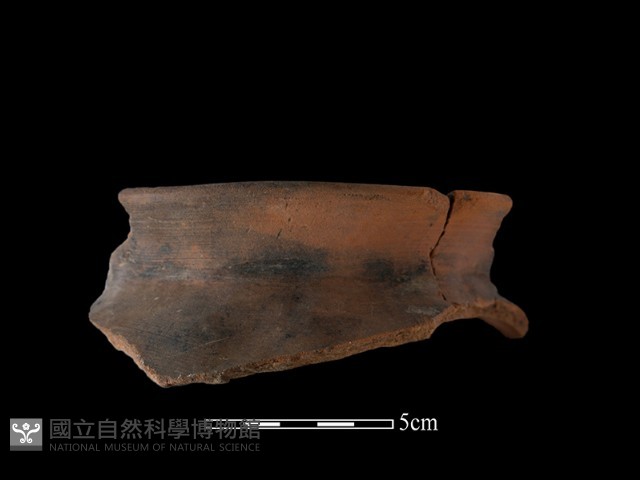 陶罐藏品圖，第1張