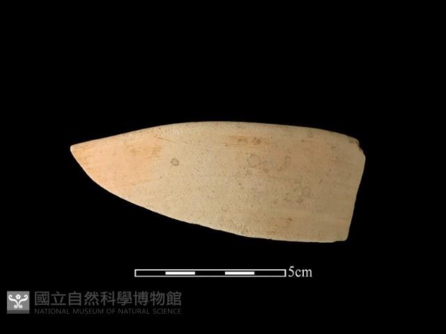 陶缽藏品圖，第1張