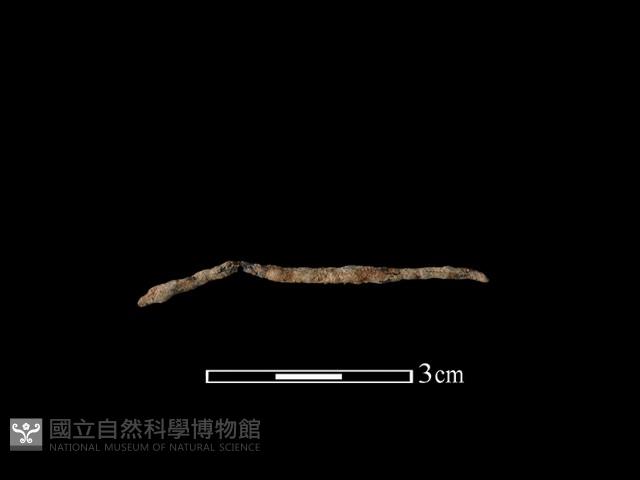 鐵線藏品圖，第1張