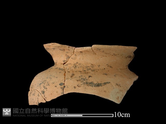 陶罐藏品圖，第1張