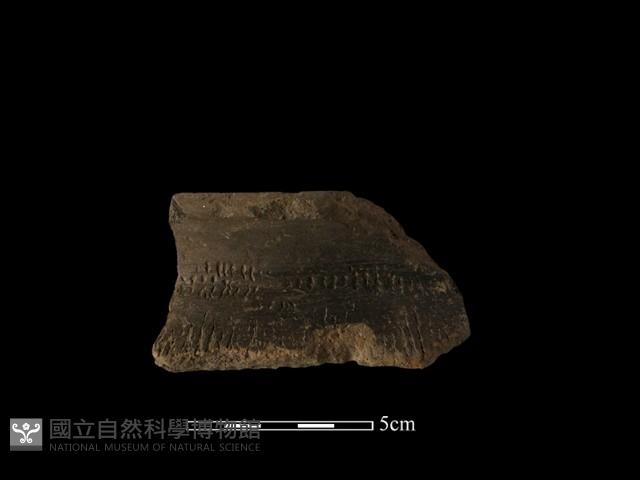 陶罐藏品圖，第2張