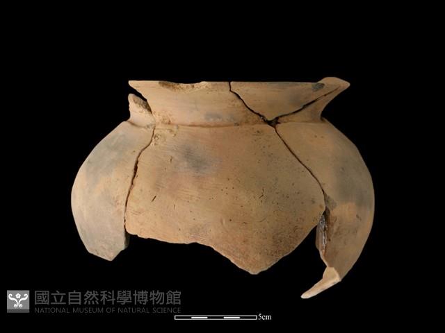 陶罐藏品圖，第2張