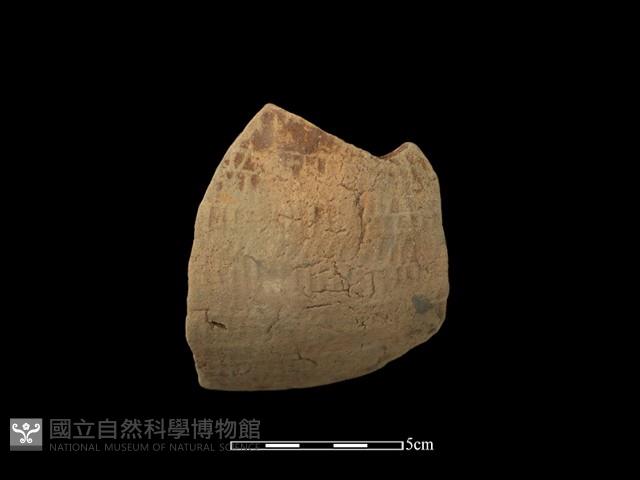 陶片藏品圖，第1張