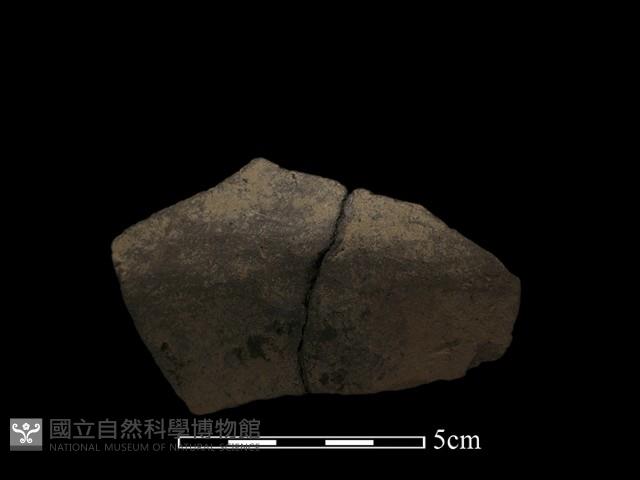 陶片藏品圖，第2張