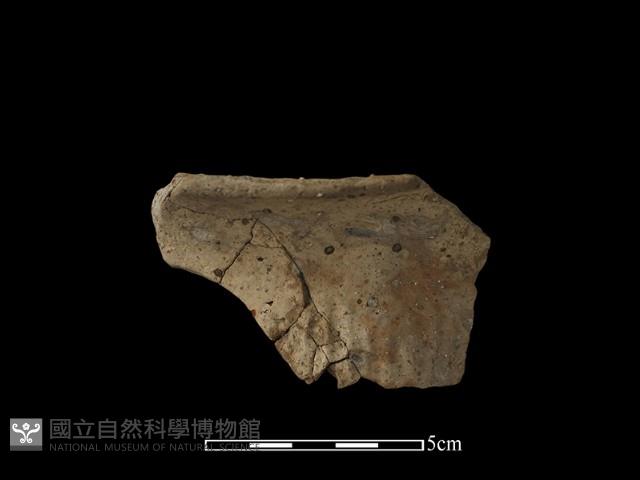 陶片藏品圖，第2張