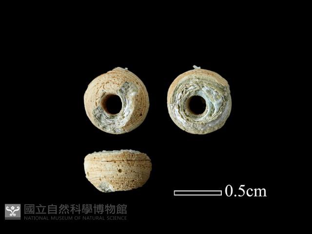 玻璃珠藏品圖，第1張