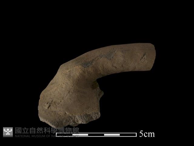 陶把藏品圖，第2張
