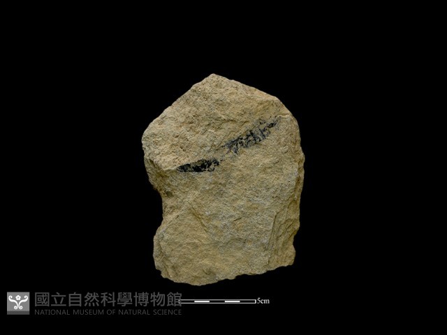 斧鋤形器藏品圖，第2張