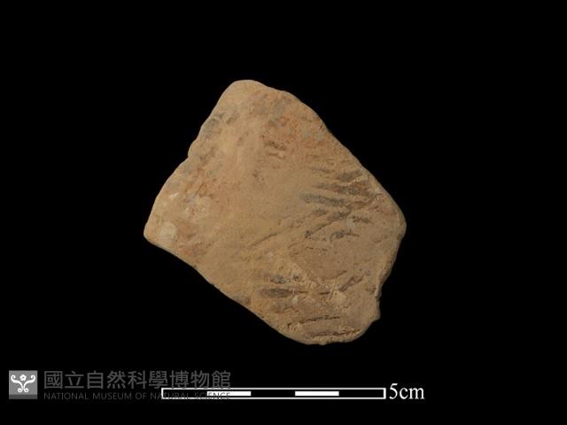 陶片藏品圖，第1張