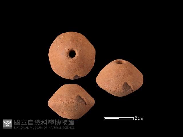 紡輪藏品圖，第1張