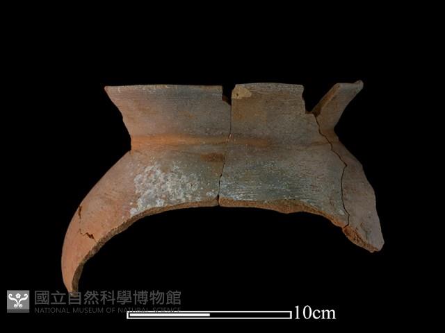 Accession Number:NSK-2012-163 Collection Image, Figure 1, Total 2 Figures