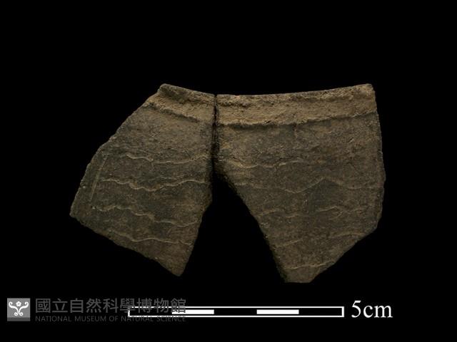 陶片藏品圖，第1張