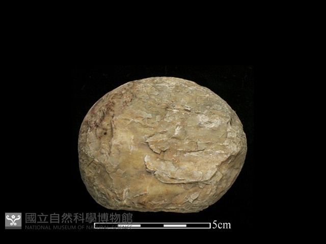 石球藏品圖，第1張