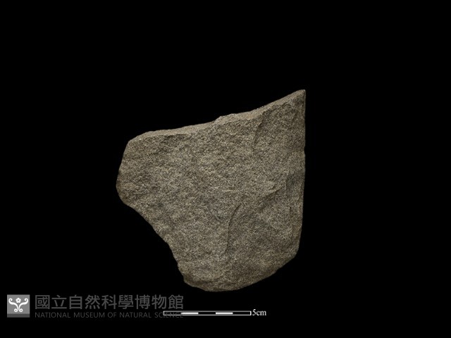 斧鋤形器藏品圖，第1張