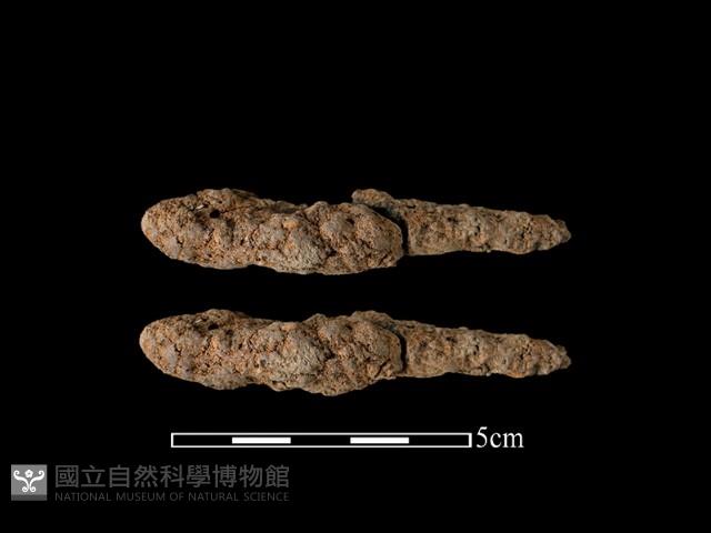 尖器藏品圖，第1張