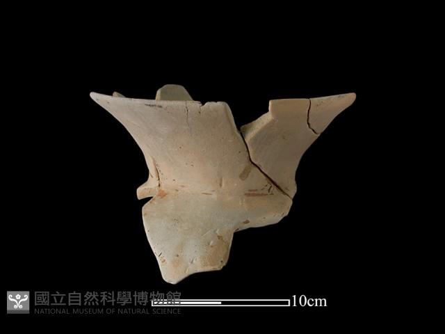 陶罐藏品圖，第1張