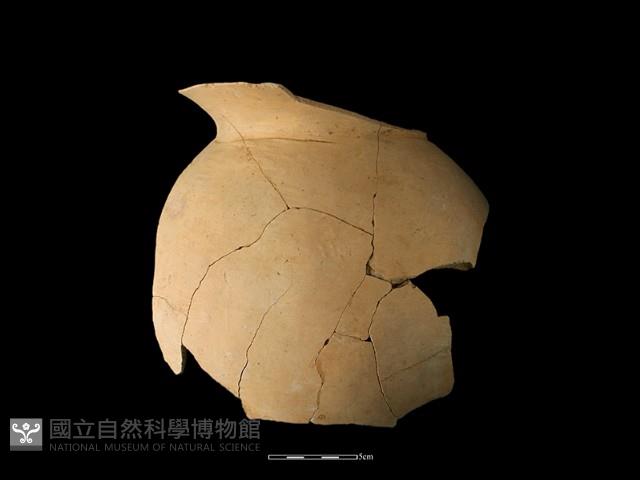 陶罐藏品圖，第2張