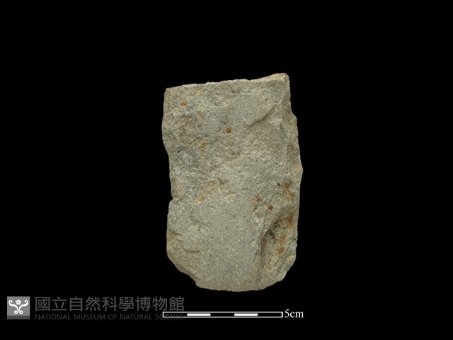 磨製斧鋤形器藏品圖，第1張