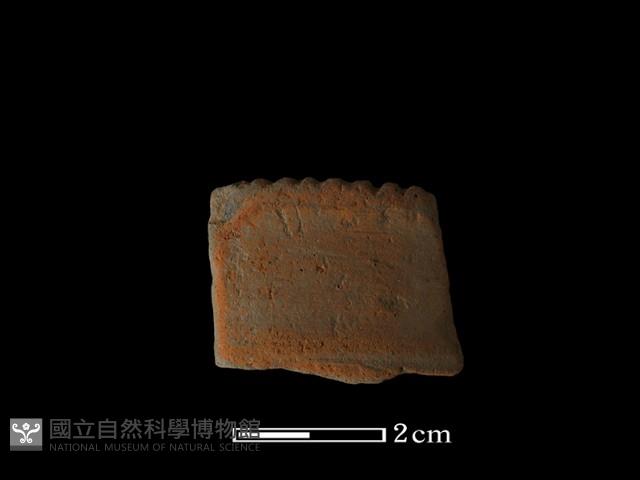 陶片藏品圖，第1張