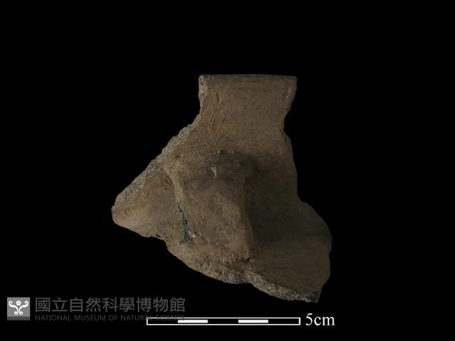 陶片藏品圖，第1張