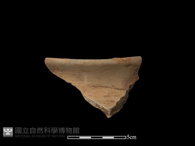 陶罐藏品圖，第1張