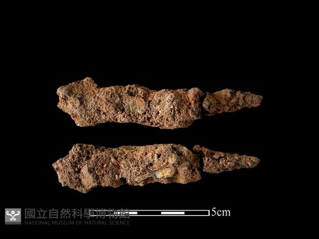 尖器藏品圖，第1張