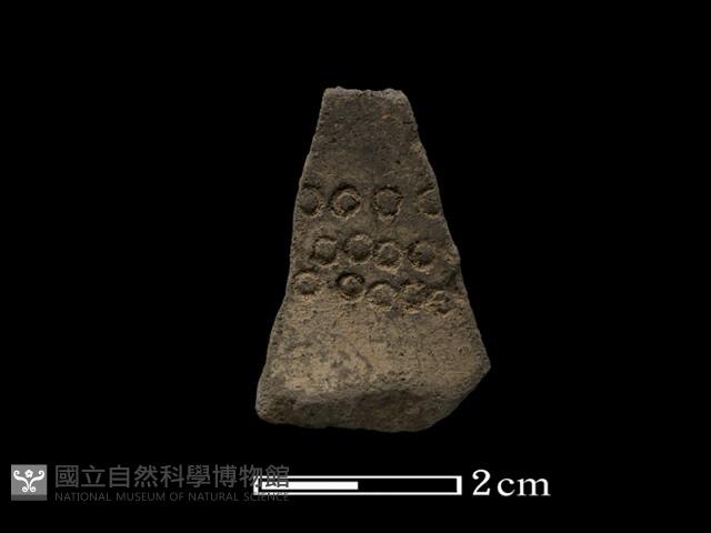 陶片藏品圖，第1張