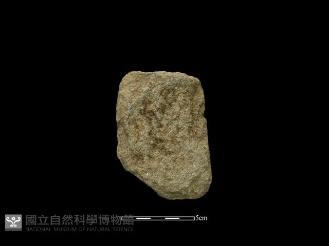 斧鋤形器藏品圖，第2張