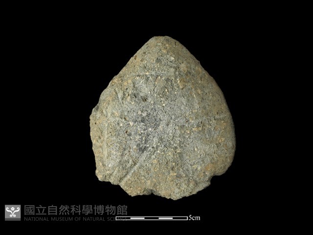 石片器藏品圖，第2張