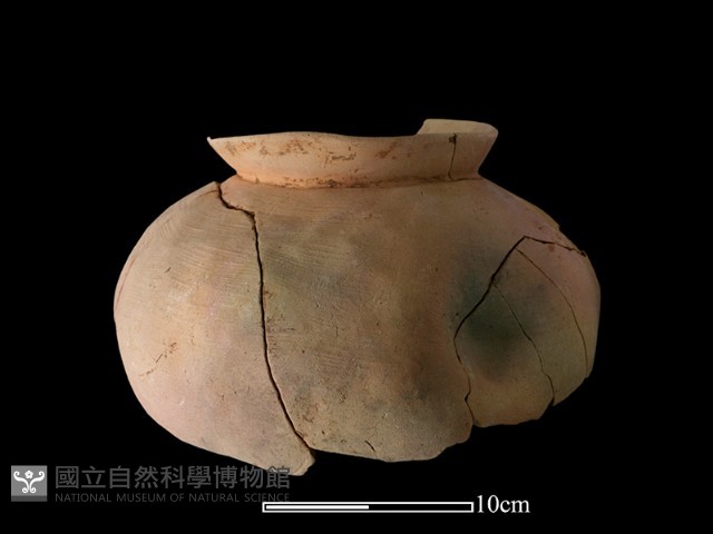 陶罐藏品圖，第1張