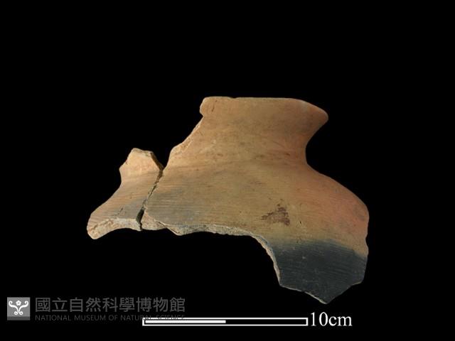 陶罐藏品圖，第1張