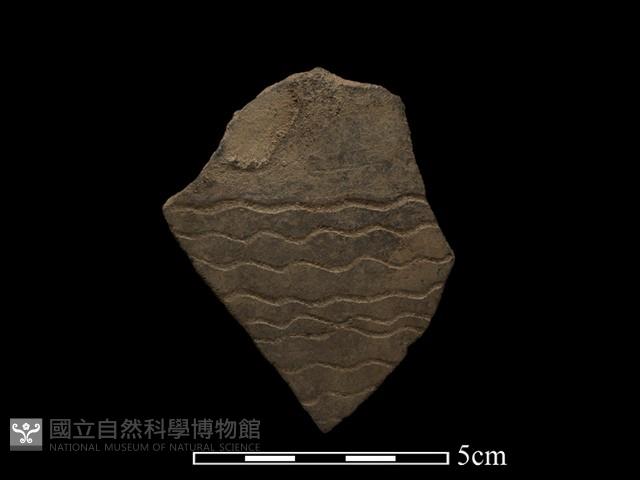 陶片藏品圖，第1張