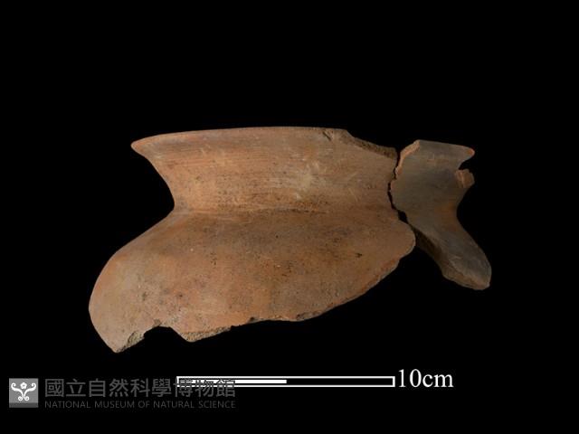 Accession Number:NSK-2012-246 Collection Image, Figure 1, Total 2 Figures