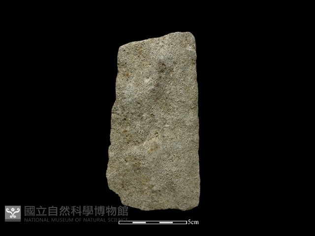 斧鋤形器藏品圖，第1張