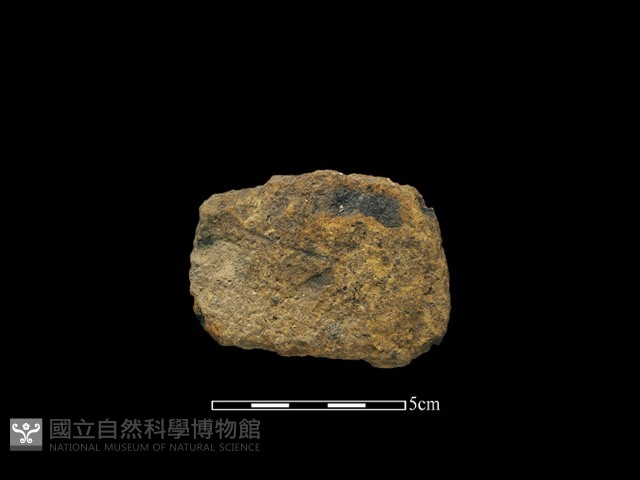 斧鋤形器藏品圖，第2張