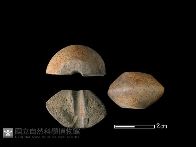 紡輪藏品圖，第1張