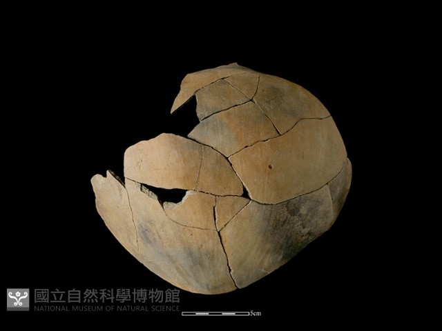 陶罐藏品圖，第2張