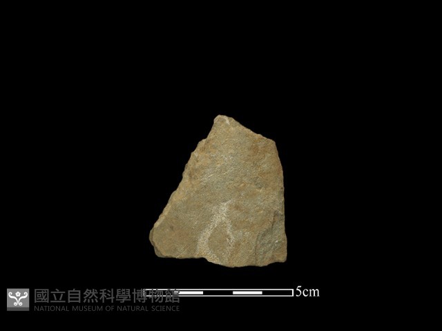 打製石器藏品圖，第2張