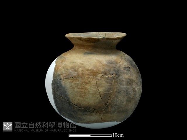 陶罐藏品圖，第2張