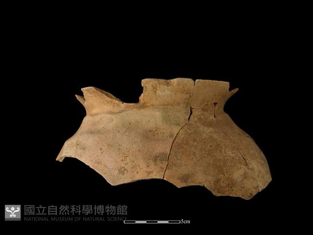 陶罐藏品圖，第2張