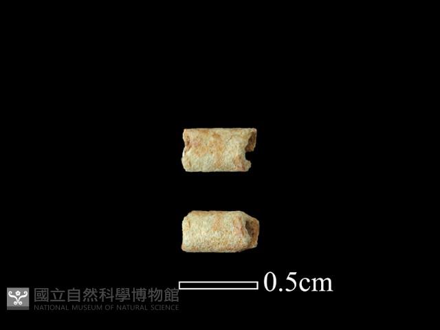 玻璃珠藏品圖，第1張