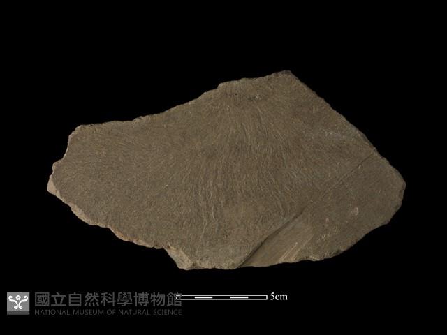 砥石藏品圖，第1張